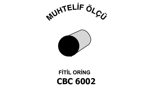 FTL ORNG CBC 6002